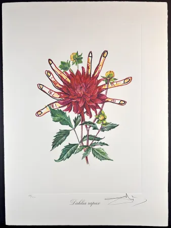 Gravura Dali - Florals Dahlias of Dali