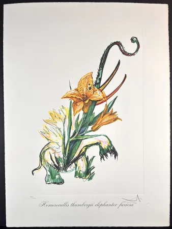 Gravura Dali - Florals Elephant Lily