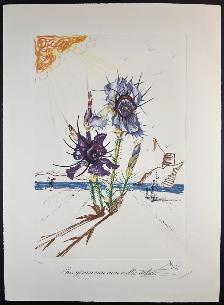 Gravura Dali - Florals Iris of Dali's Youth