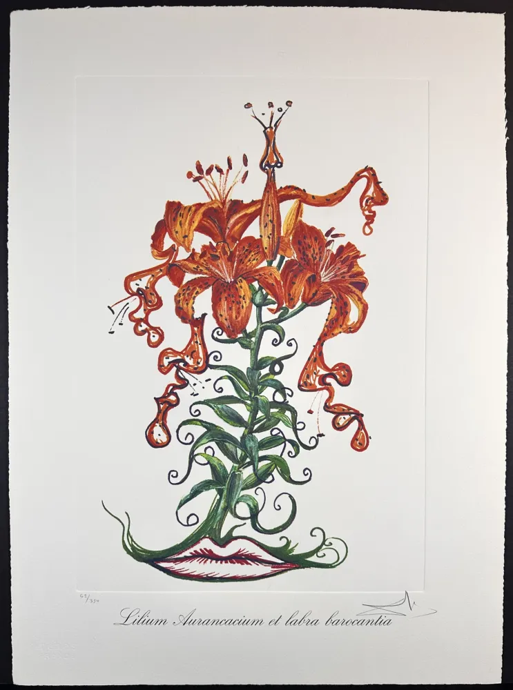 Gravura Dali - Florals Tiger Lilies of The Theatre