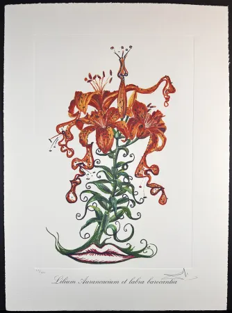 Gravura Dali - Florals Tiger Lilies of The Theatre