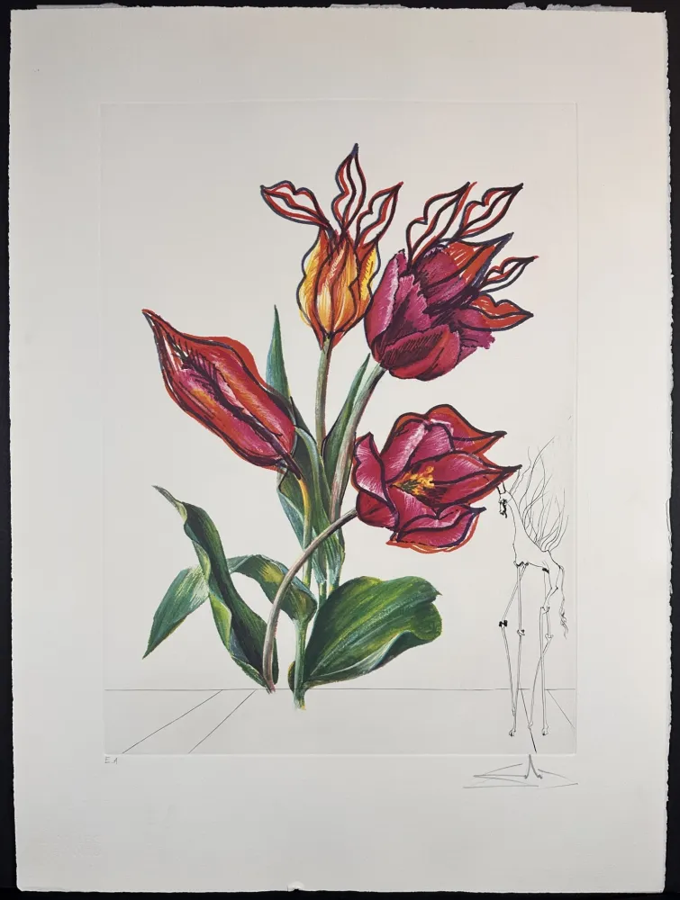 Gravura Dali - Florals Tulips Girafe en Feu