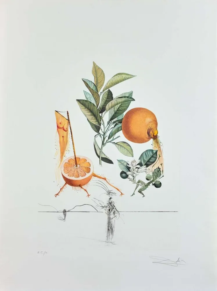 Gravura Dali - Flordali - Pamplemousse Erotique