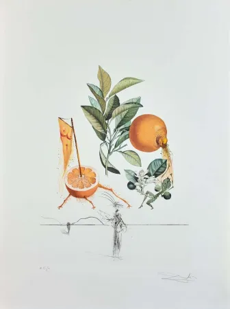 Gravura Dali - Flordali - Pamplemousse Erotique