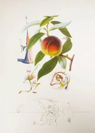 Gravura Dali - Flordali - Pêcher Pénitent