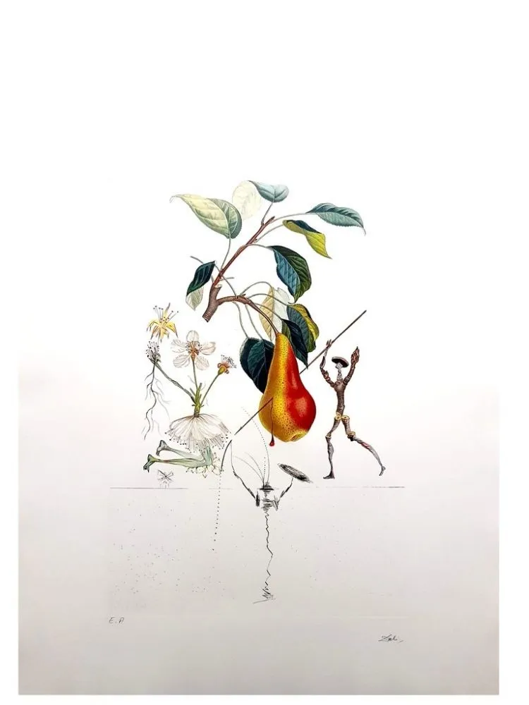 Gravura Dali - Flordali - Poire Don Quixote