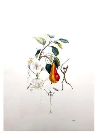 Gravura Dali - Flordali - Poire Don Quixote