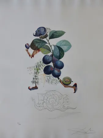 Gravura Dali - Flordali - Prunier Hatif