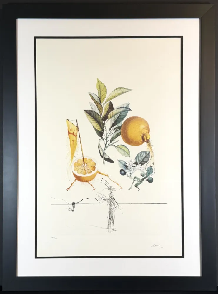 Gravura Dali - FlorDali/Les Fruits Grapefruit