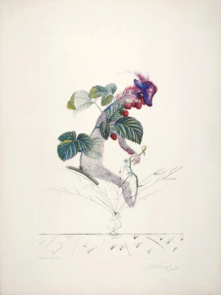 Múltiplo Dali - Framboisier, 1969-1970 - Hand-signed!