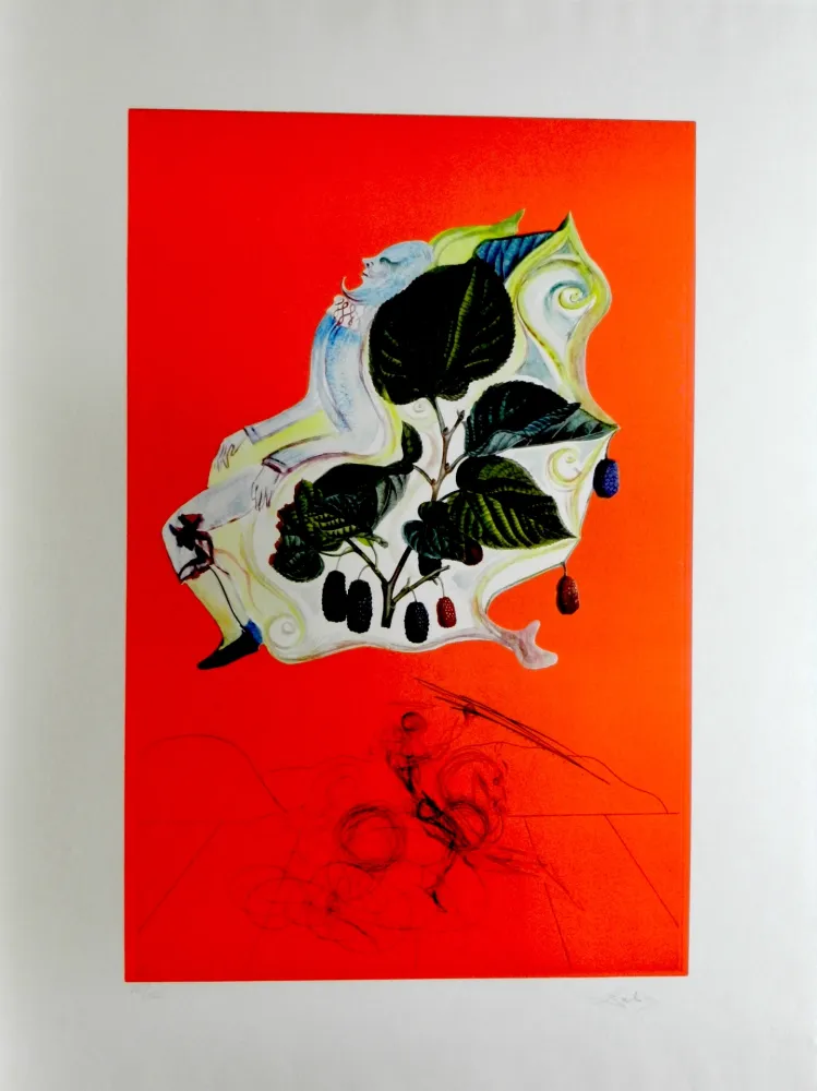 Gravura Dali - Fruits Blackberries