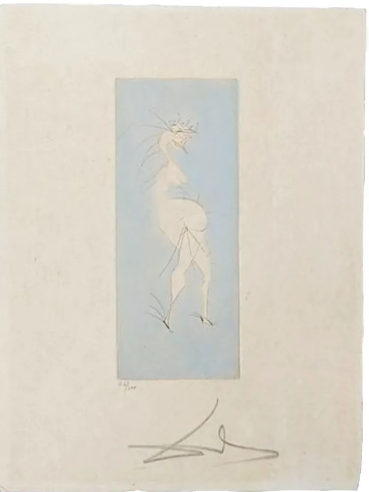 Ponta-Seca Dali - Grotesque