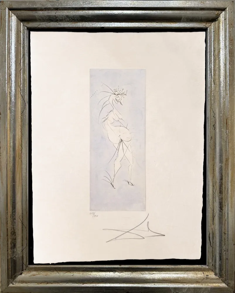 Sem Técnica Dali - Grotesque