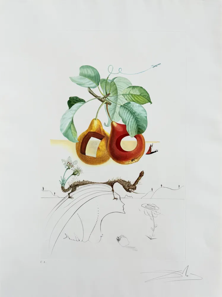 Litografia Dali - Holed Fruit from Flordali suite