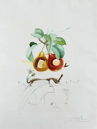 Litografia Dali - Holed Fruit from Flordali suite