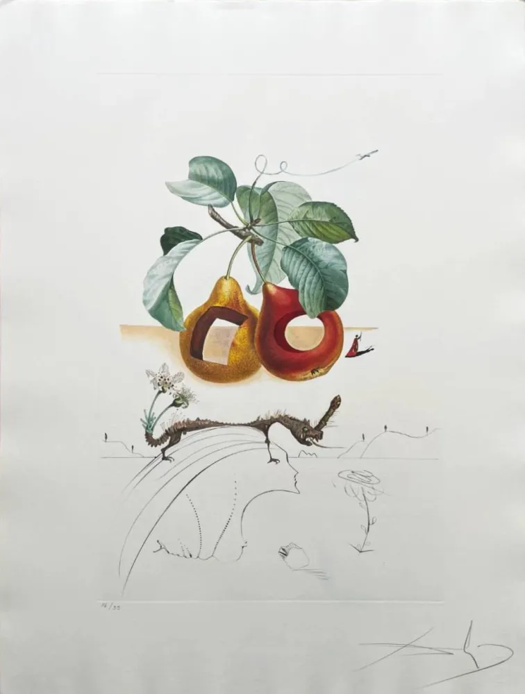 Litografia Dali - Holed Fruit from Flordali suite