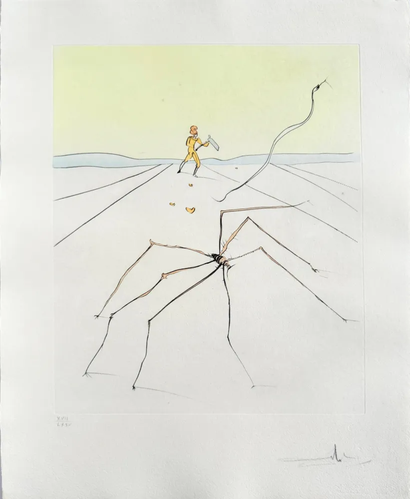 Ponta-Seca Dali - Kumo (The weaver spider)