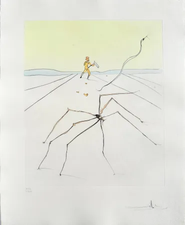 Ponta-Seca Dali - Kumo (The weaver spider)