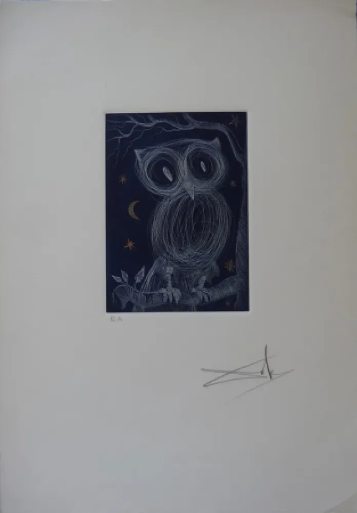 Água-Forte Dali - La petite chouette