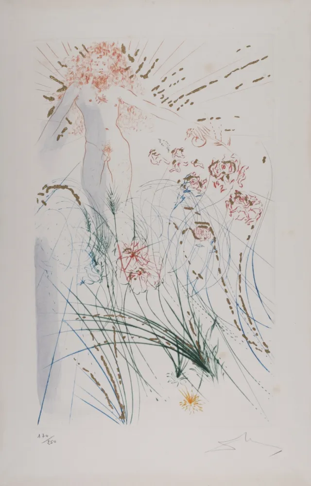 Gravura Dali - Le bien-aimé se nourrit parmi les lys, 1971
