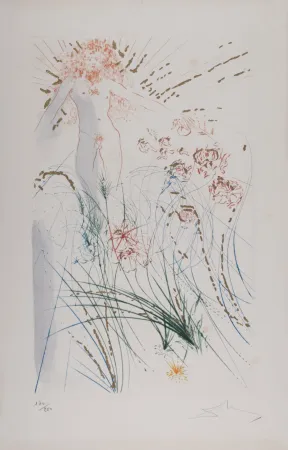 Gravura Dali - Le bien-aimé se nourrit parmi les lys, 1971