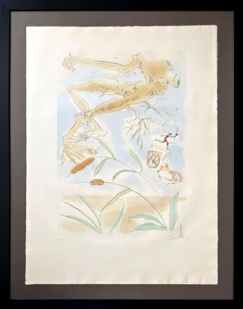 Água-Forte Dali - Le Chêne et le Roseau (The Oak and the Reed)