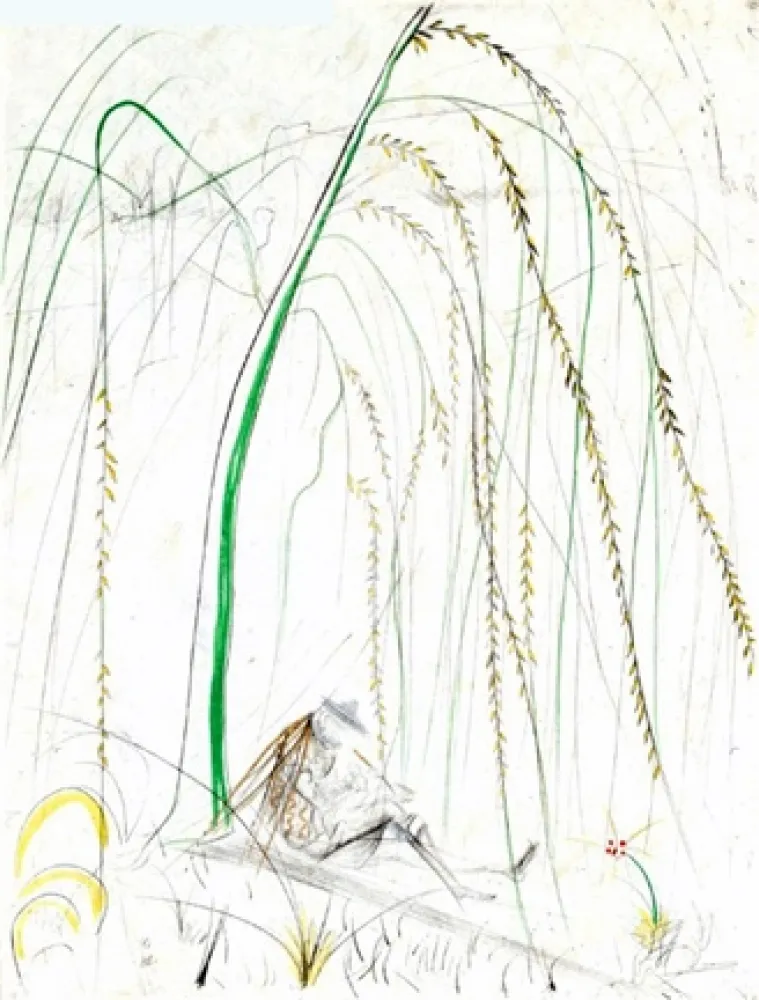 Gravura Dali - Le Saule Pleurer (Weeping Willow)