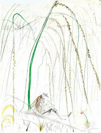 Gravura Dali - Le Saule Pleurer (Weeping Willow)
