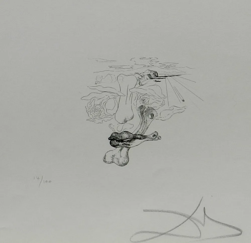 Gravura Dali - Les Chantes de Maldoror Carnal Transfiguration