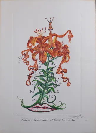 Múltiplo Dali - Lilium Aurancacium et labra barocantia, 1972 - Hand-signed!