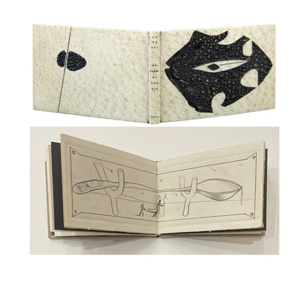 Livro Ilustrado Dali - ME PUDRE MI AGONIA