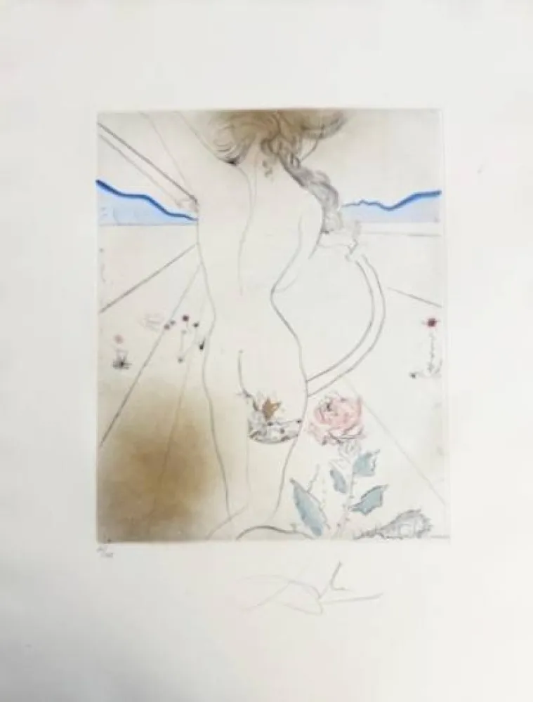 Ponta-Seca Dali - Nu à la jarretière (Nude with Garter)