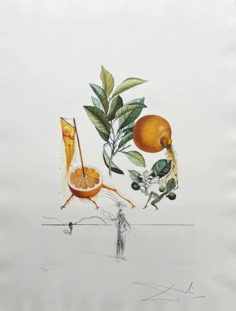 Litografia Dali - Pamplemousse érotique (Erotic Grapefruit)