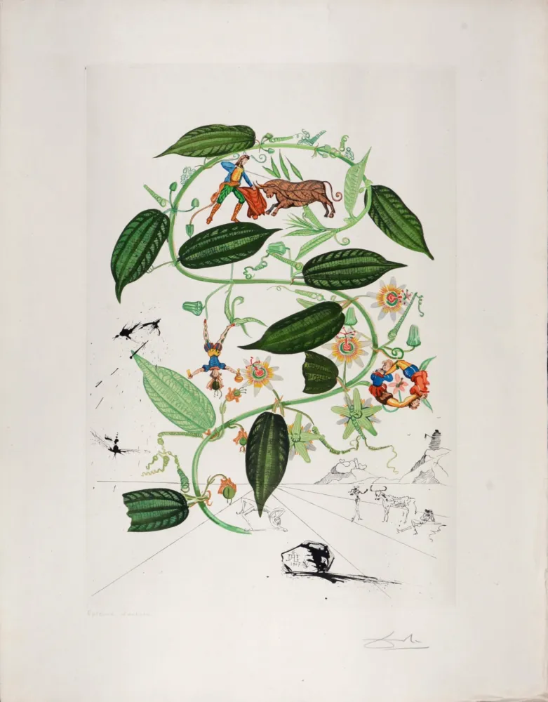 Gravura Dali - Passiflora Lariguera, 1969 - Hand-signed!