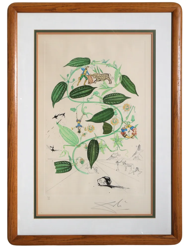 Gravura Dali - Passiflora Laurigera