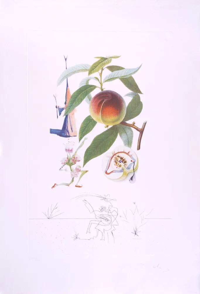 Ponta-Seca Dali - Pécheur pénitent - Peach (Suite Flordali Les Fruits)