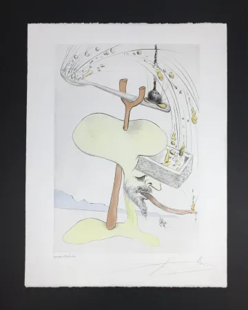 Múltiplo Dali - Quevedos Visiones