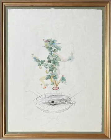 Litografia Dali - Révérence du groseillier (Curtsying Gooseberry Bush)