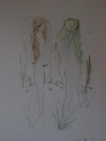 Água-Forte E Água-Tinta Dali - Sans titre