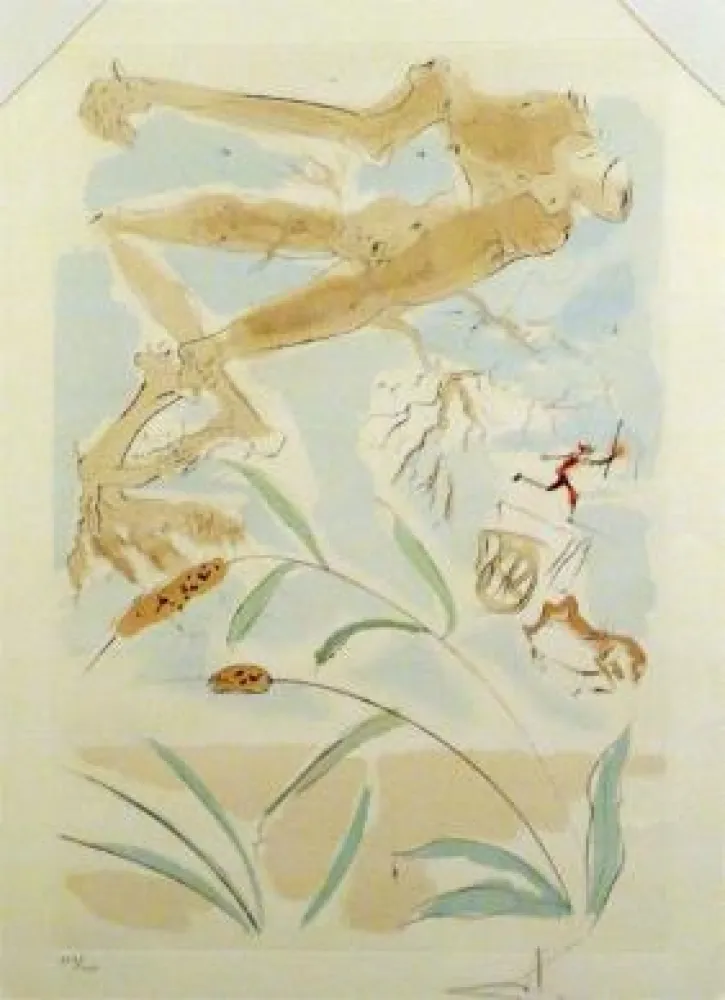 Sem Técnica Dali - The Oak and the Reed - from the suite 