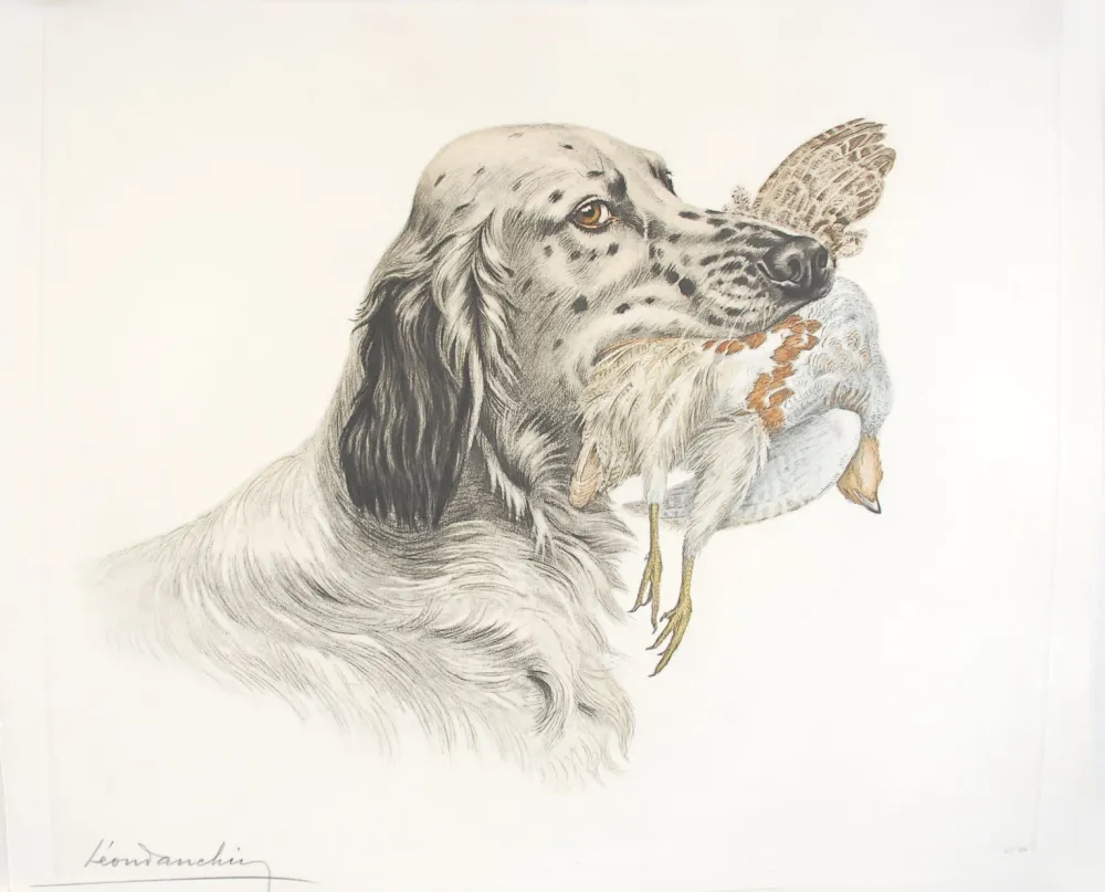 Água-Forte Danchin - 49 Setter et Perdrix - English Setter and Partridge (Original)