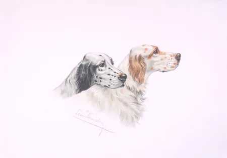 Litografia Danchin - Deux têtes de Setters - Two Setters heads (Original)