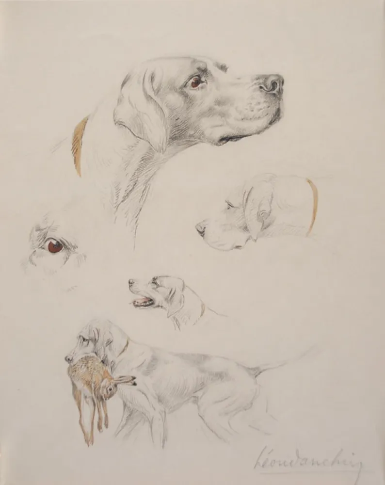 Sem Técnica Danchin - Etude de pointer