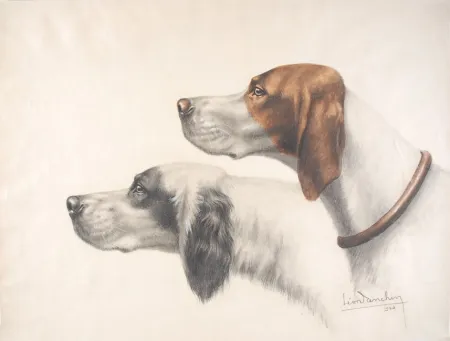 Sem Técnica Danchin - Setter Anglais et Braque Français