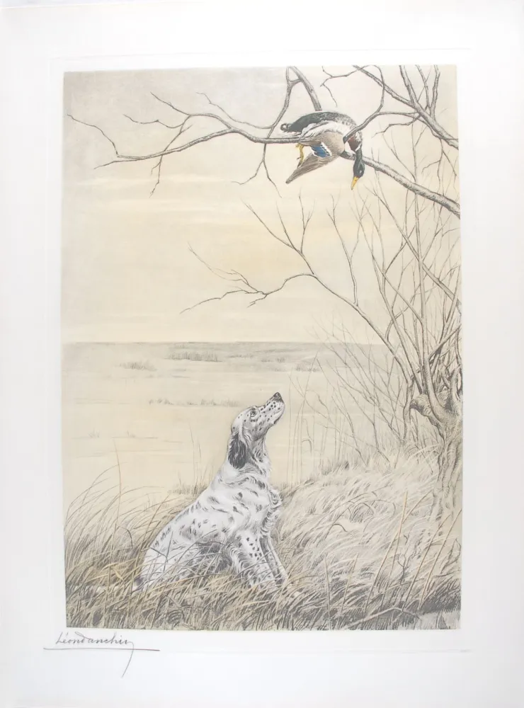 Gravura Danchin - Setter et Canard branche - English Setter and Duck in a tree (Original)