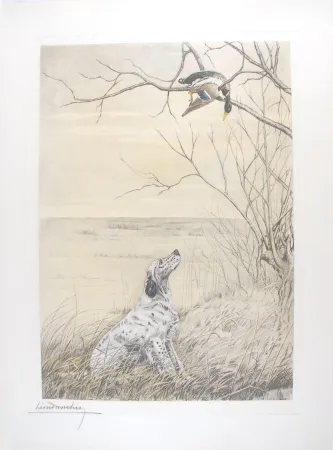 Gravura Danchin - Setter et Canard branche - English Setter and Duck in a tree (Original)