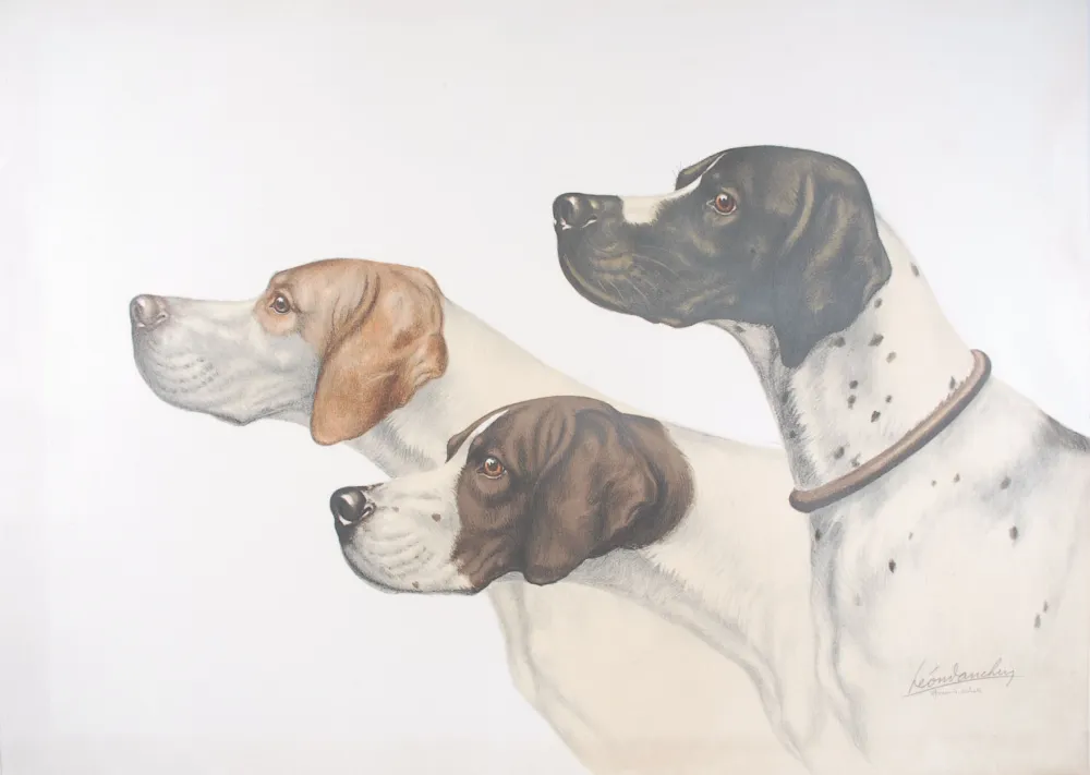 Litografia Danchin - Three Pointer head - Trois têtes de Pointer (Original)