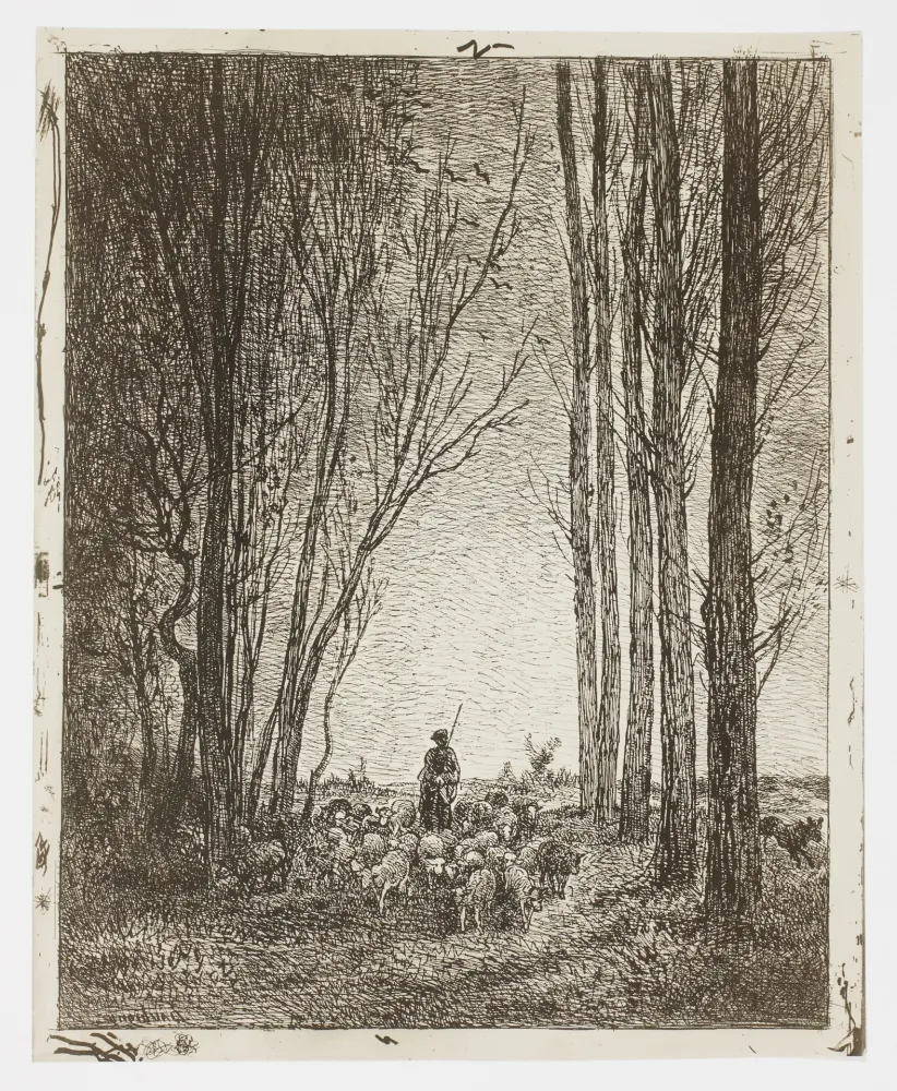 Sem Técnica Daubigny - La Rentrée du Troupeau (Return of the Flock)