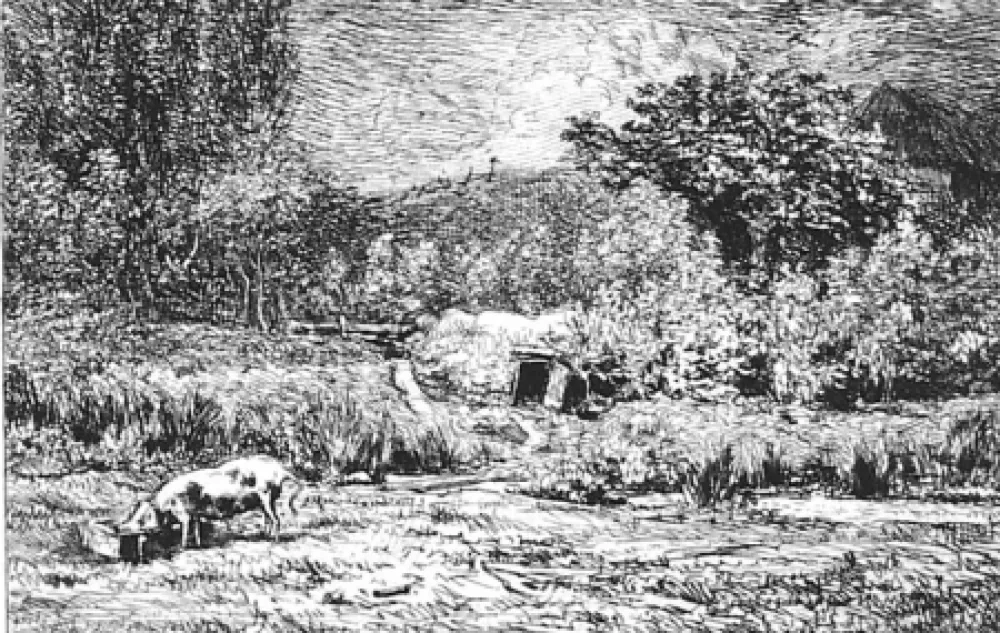 Água-Forte Daubigny - Le cochon dans un verger