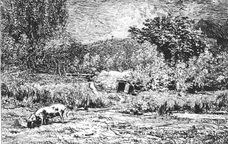 Água-Forte Daubigny - Le cochon dans un verger